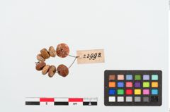 Foto von Perlenkette (NHMW-PRAE-023998)